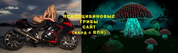 сатива Волоколамск