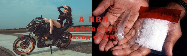 прущая мука Вяземский