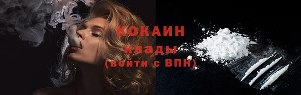 прущая мука Вяземский