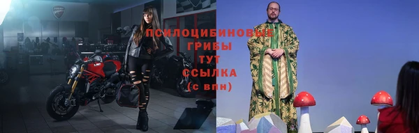 прущая мука Вяземский