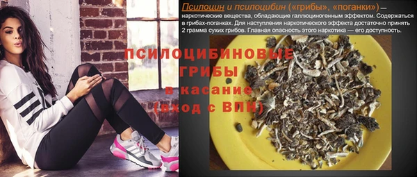 прущая мука Вяземский
