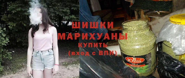 прущая мука Вяземский