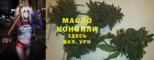 прущая мука Вяземский