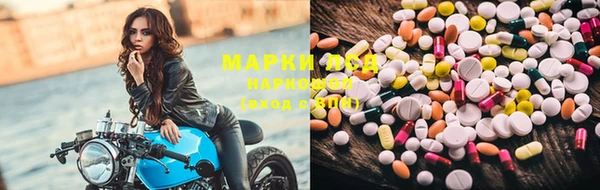 прущая мука Вяземский