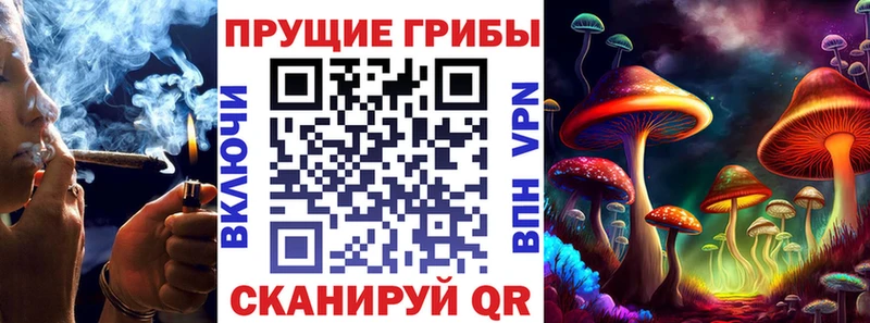 Псилоцибиновые грибы ЛСД ссылка на мегу ссылки Снежинск купить наркоту