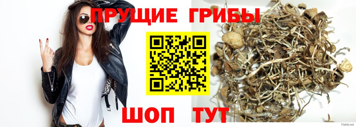Псилоцибиновые грибы MAGIC MUSHROOMS  Псилоцибиновые грибы прущие грибы  Снежинск  Вход с VPN 
